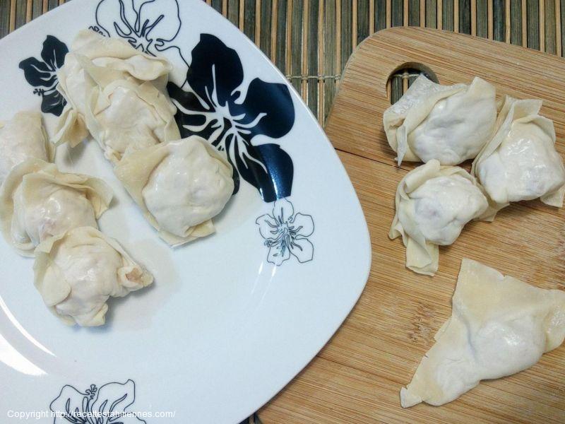 Won ton au poulet